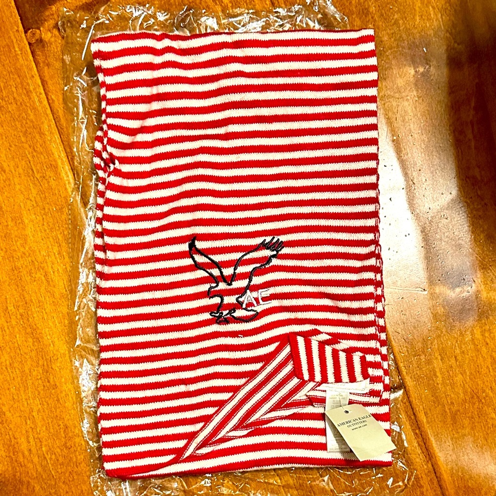 AMERICAN EAGLE OUTFITTERS Scarf NWT - Picture 2 of 2